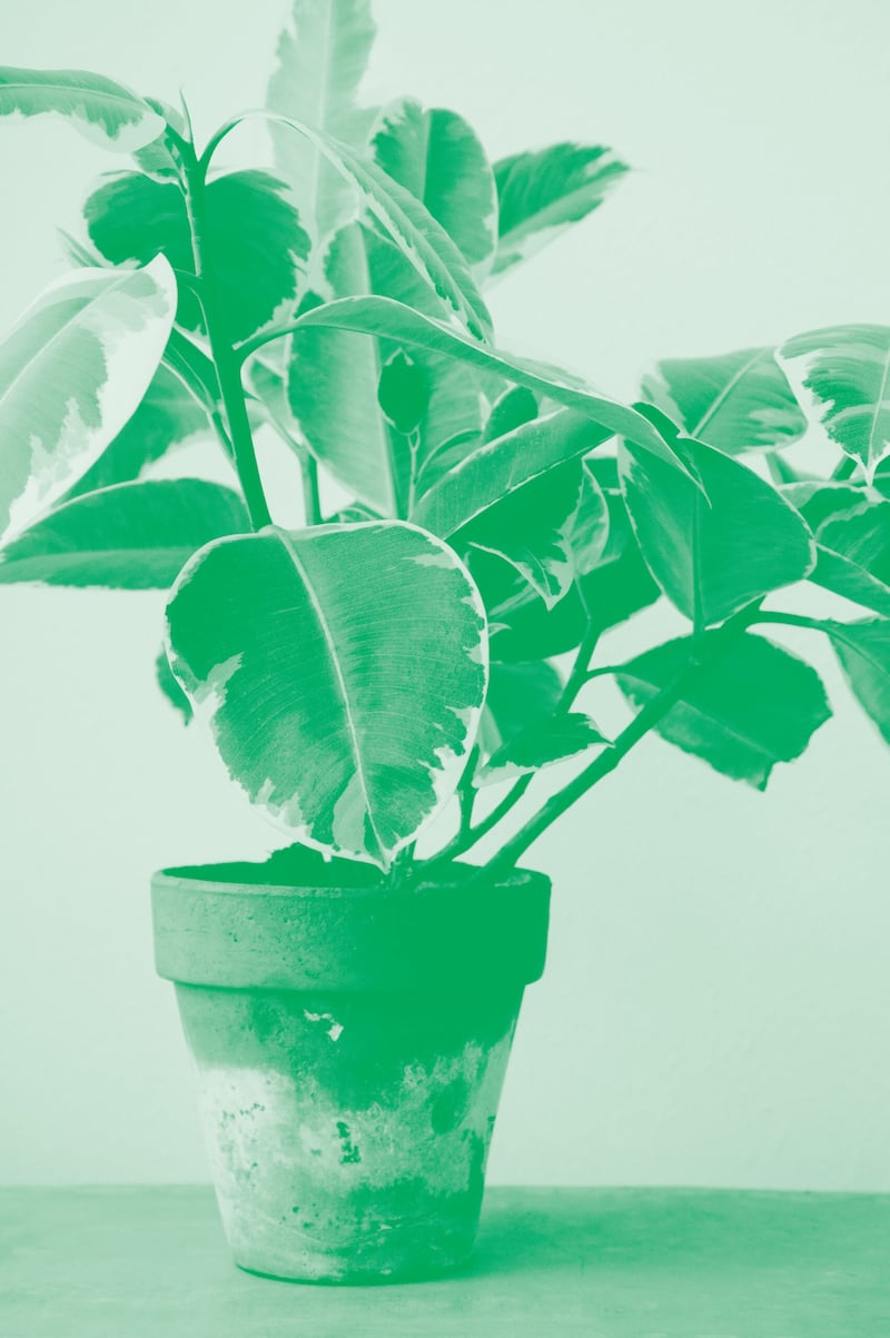 Each year we honor the companies in Utah who are making strides toward sustainability. Meet the 2022 Green Business honorees.