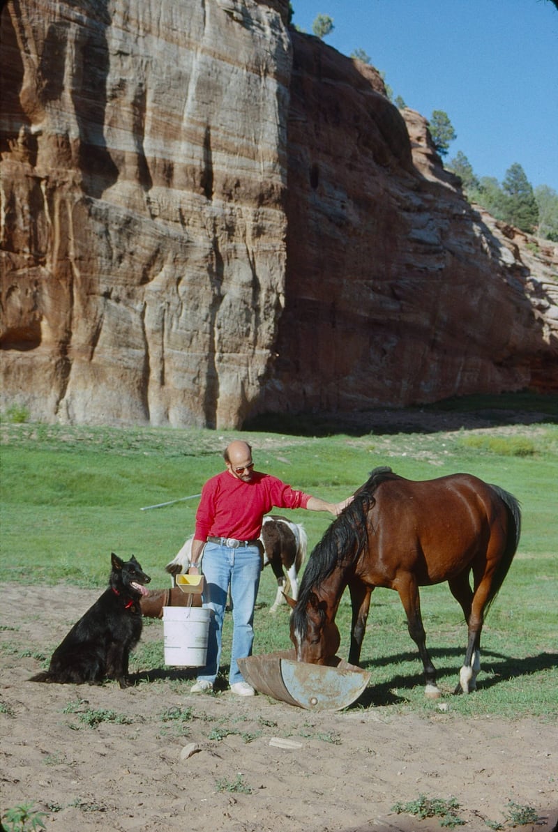 And played a pivotal role in pioneering the no-kill movement, rescuing and rehabilitating thousands of homeless pets and transforming animal welfare.