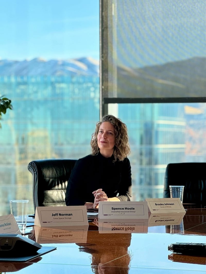 Brooke Johnson of Dorsey & Whitney.