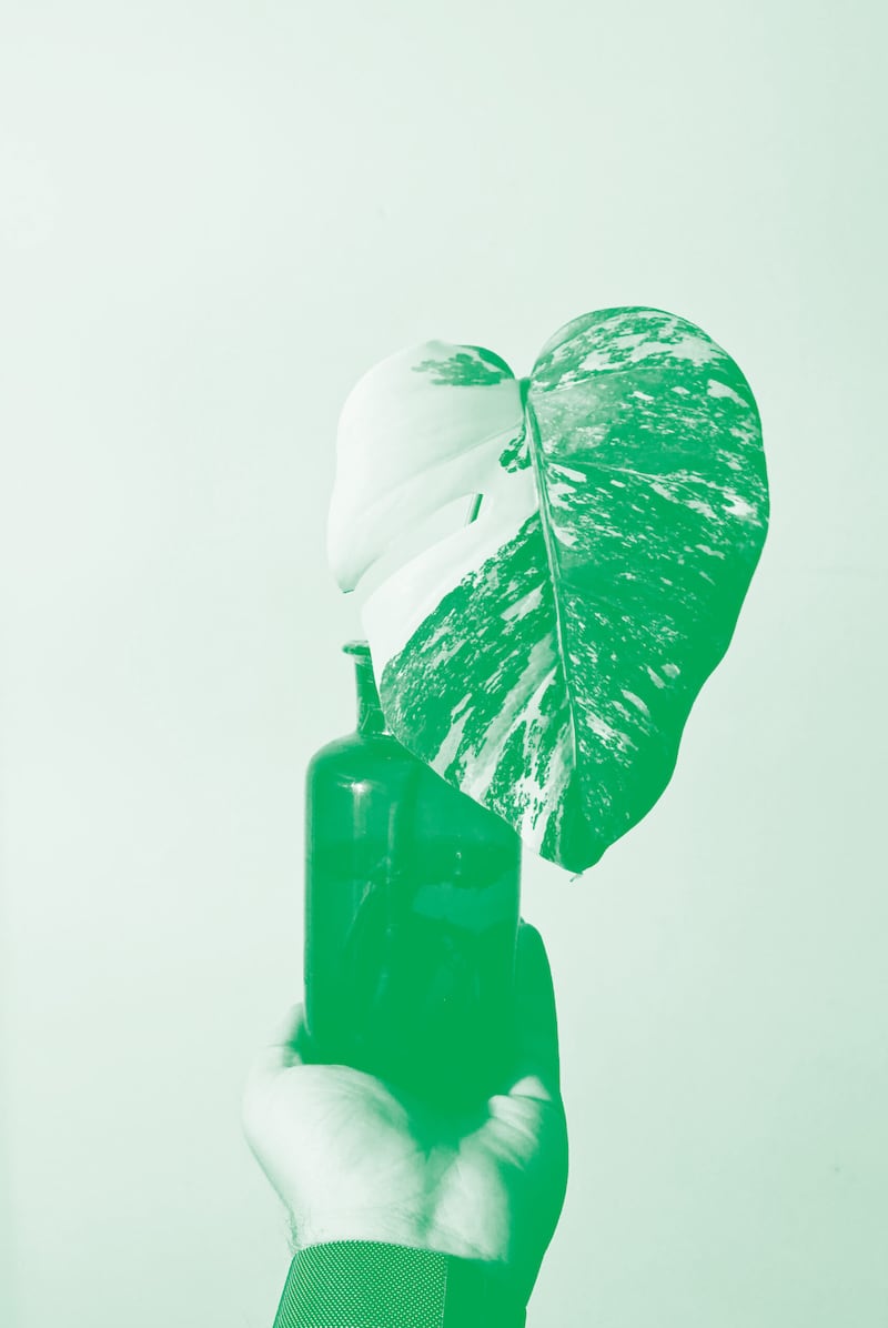 Each year we honor the companies in Utah who are making strides toward sustainability.