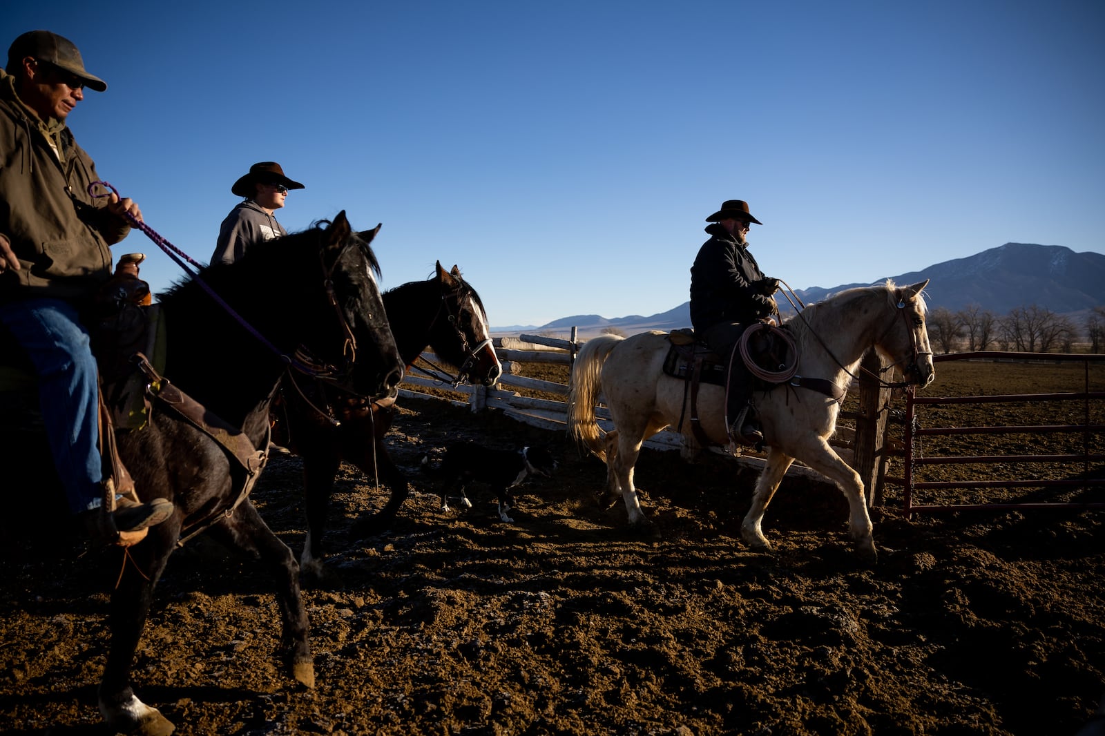 Cattle ranchers in Beaver County. | Photo by Spenser Heaps, Deseret News