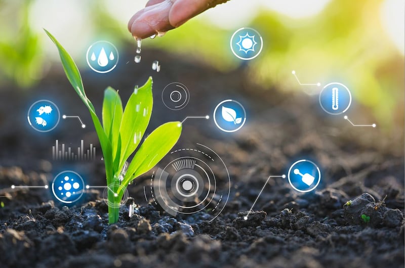 Bactelife: The agritech company innovatively tackling Utah’s water crisis