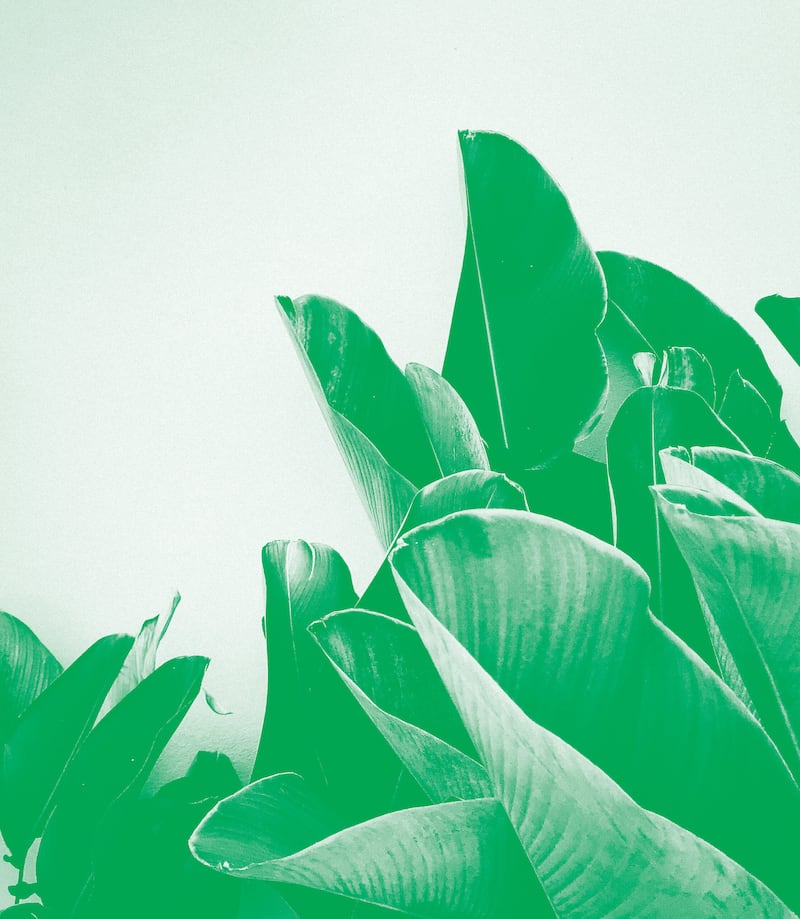 Meet this year’s Green Business Award winners
