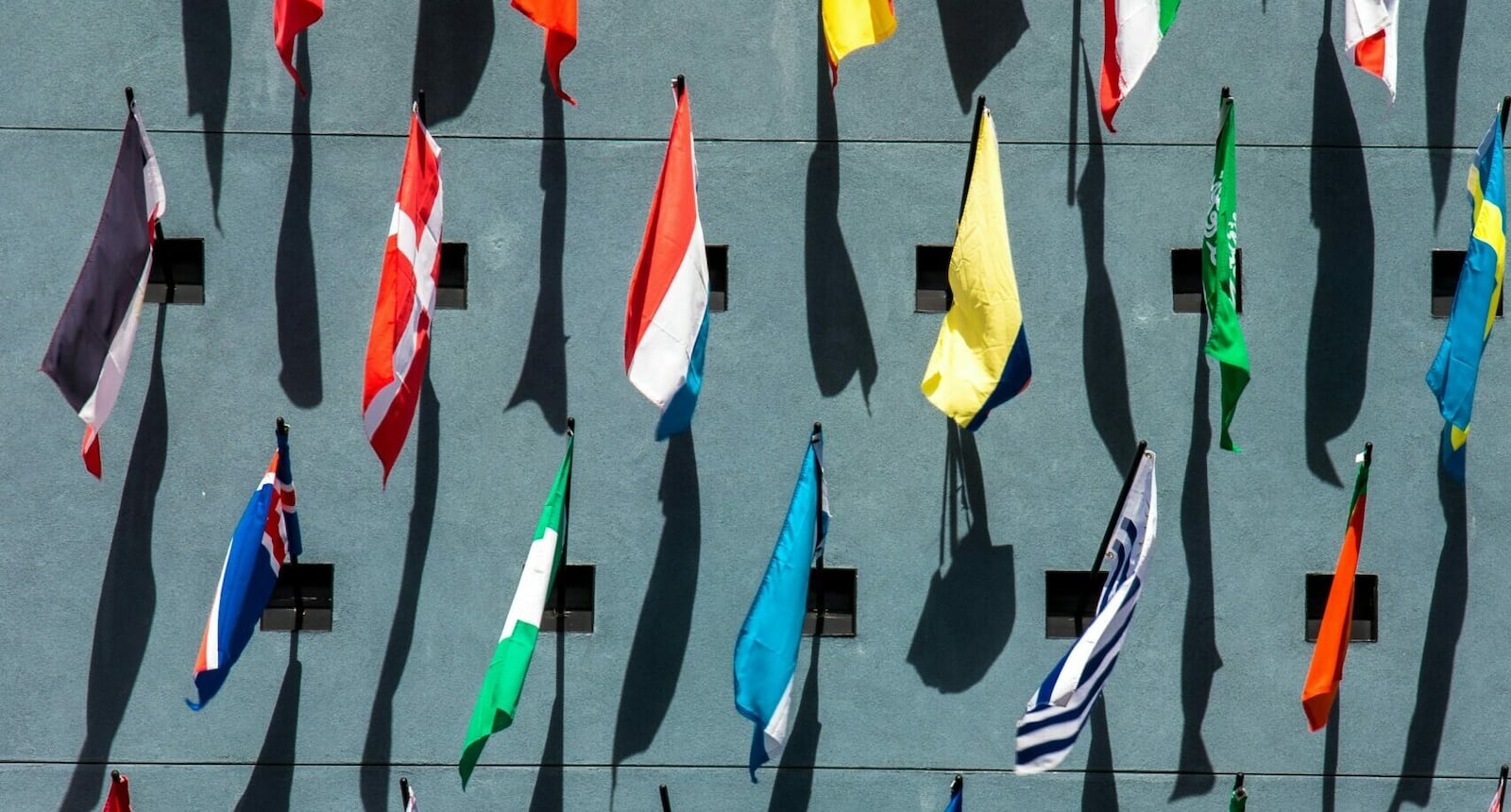 Bogus applications have clogged the system and left many skilled workers in limbo.