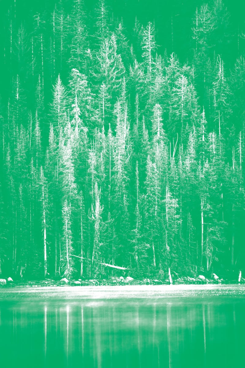 Each year we honor the companies in Utah who are making strides toward sustainability. Meet the 2022 Green Business honorees.