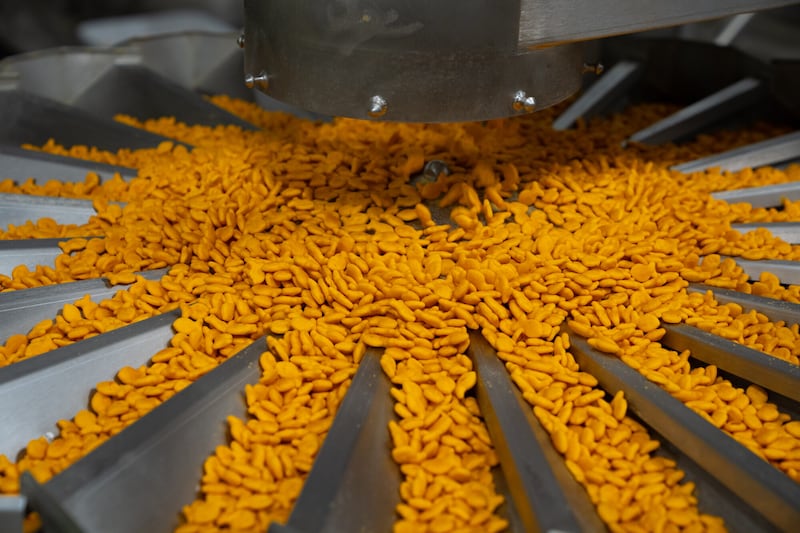 Campbell's today celebrated the expansion of its Richmond, Utah bakery with the opening of a new Goldfish production line.