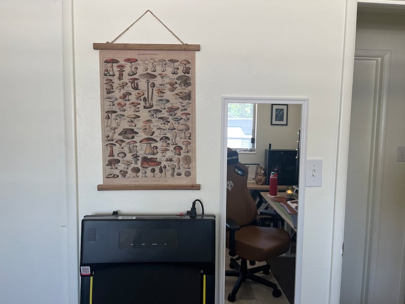 Improve your home office with a dedicated work chair, an energizing under-desk walking pad, the perfect pen and more.