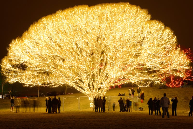 Brite Nites strings lights for celebrities—like Justin Bieber and the Kardashians—with the help of 100 seasonal employees.