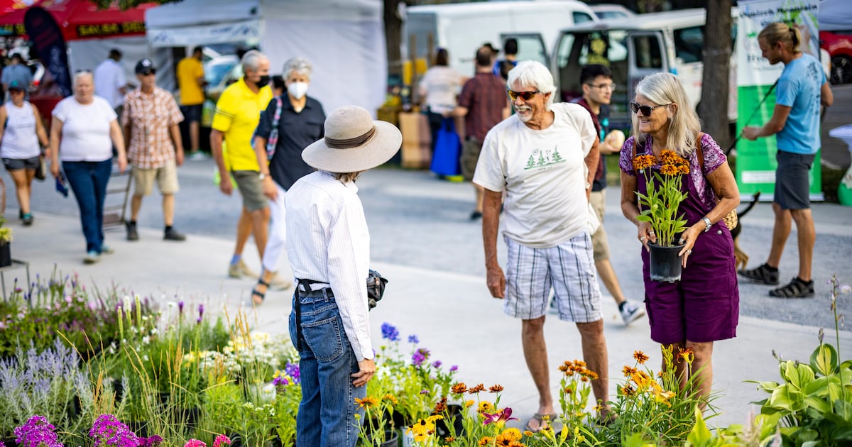 Are farmers markets the OG business incubators?