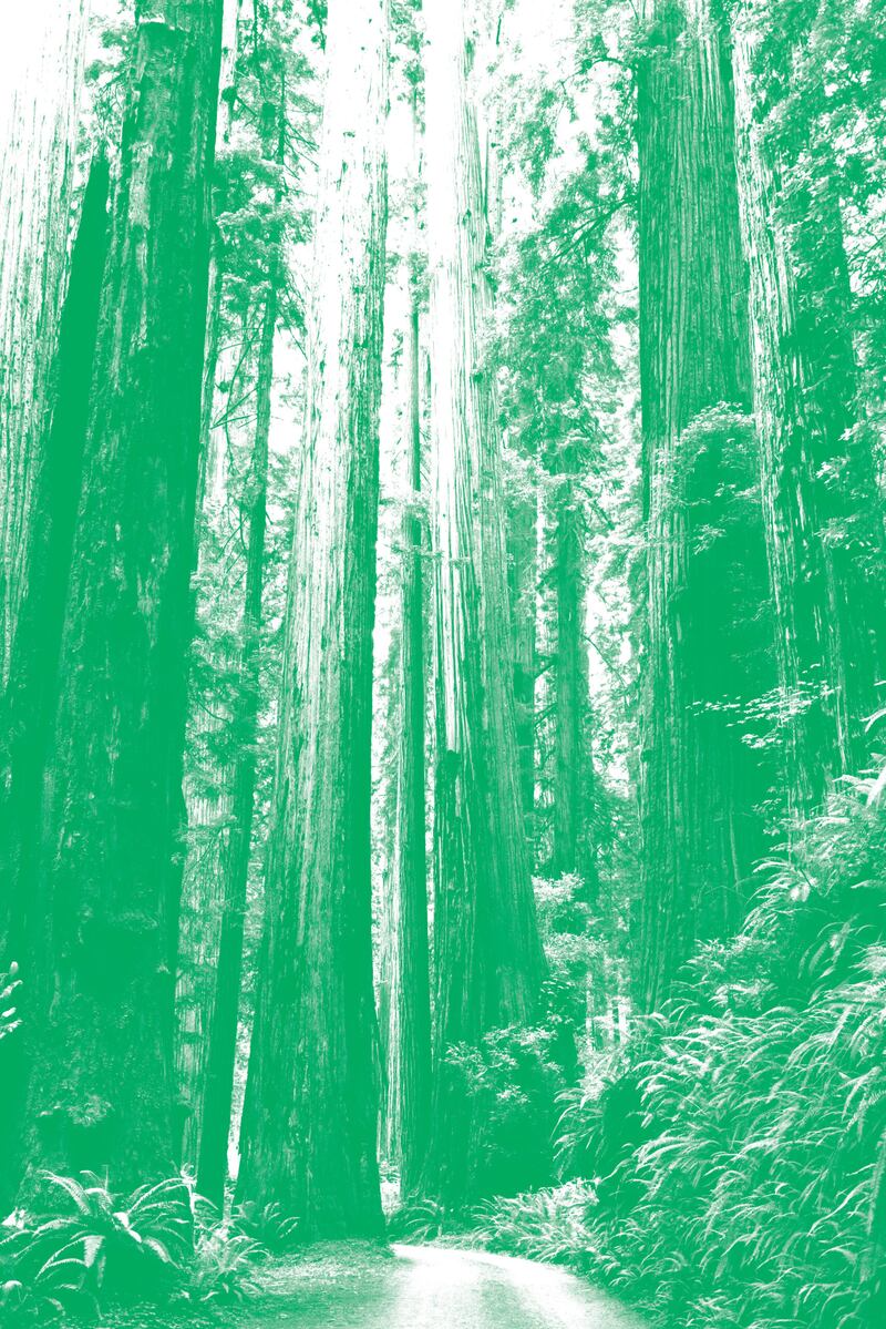 Each year we honor the companies in Utah who are making strides toward sustainability. Meet the 2022 Green Business honorees.
