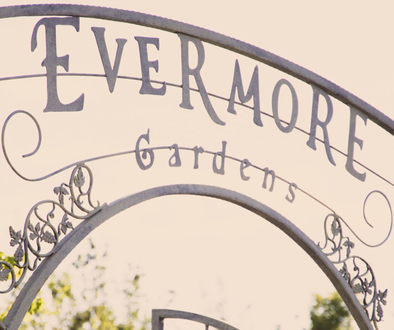 A peek into Evermore. Utah's newest, and most adventurous, theme park.