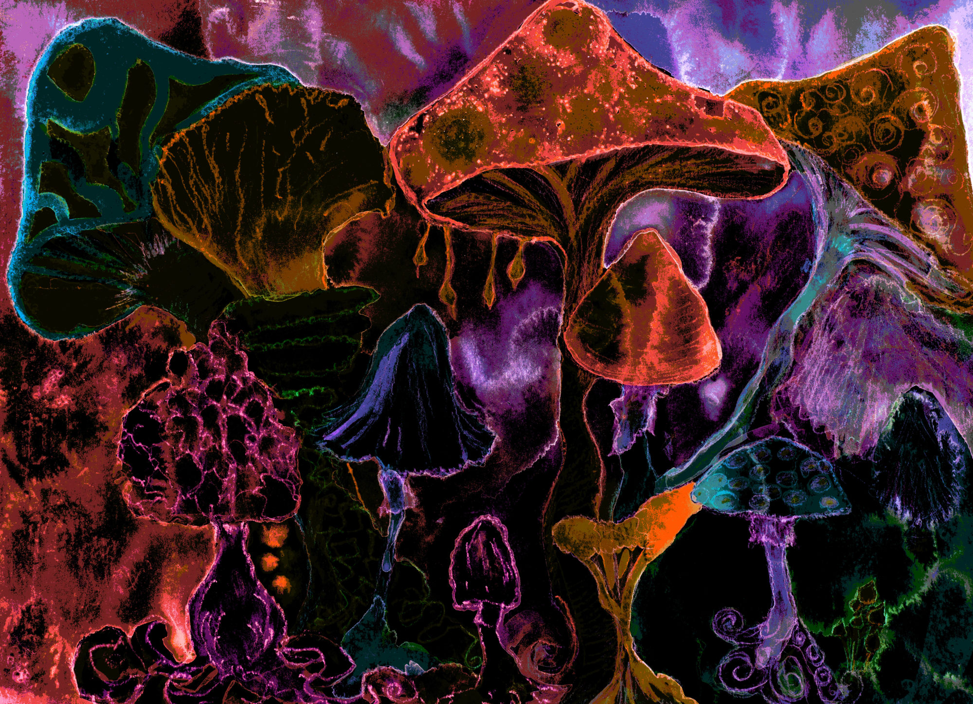 The rise of psychedelics in Utah for therapy, spirituality, and how it all relates to the state's predominant religion.