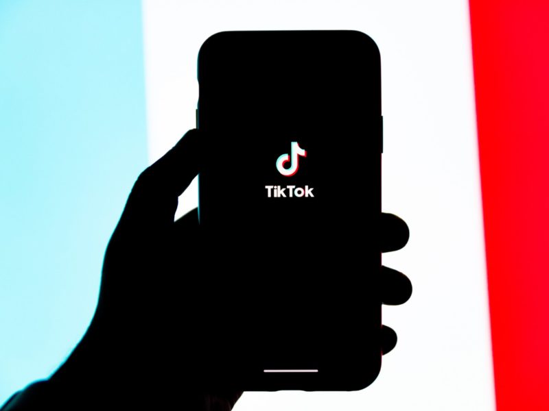 James Seo's TikTok account has proven to be a successful business venture, as it nets him around $20,000 per month.