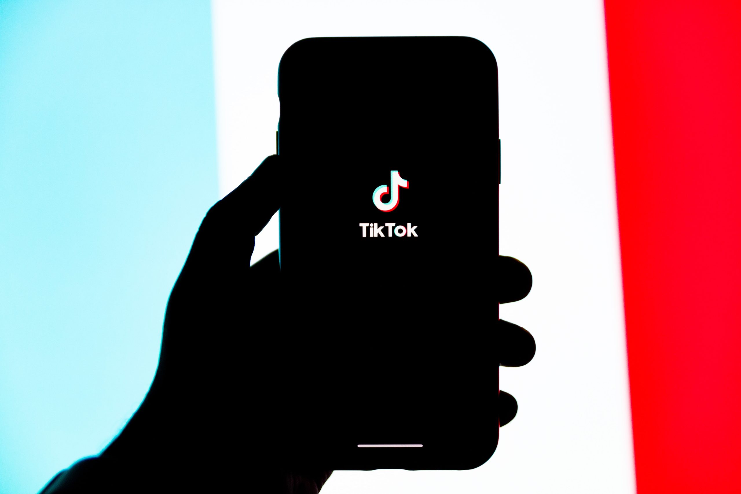 James Seo's TikTok account has proven to be a successful business venture, as it nets him around $20,000 per month.
