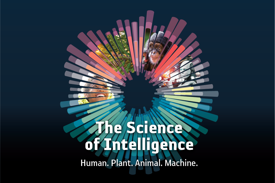 This spring, join the Natural History Museum of Utah to explore the latest thinking on thinking in the 2024 Lecture Series: The Science of Intelligence: Human. Plant. Animal. Machine.